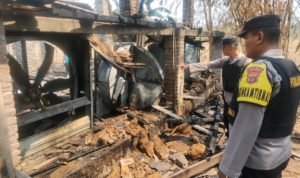 Korsleting Listrik, Ribuan Ayam Mati Terpanggang