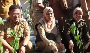 Dukung Program Pj Gubernur Sulsel, Asrul Sani Canangkan Gerakan Tanam Cabai 10 Pohon Satu ASN