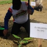 Tanam 100 Pohon Pisang Cavendish di Lapas Palopo, Asrul Sani: Untuk Mengedukasi Warga Binaan