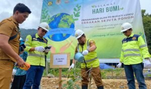 Peringati Hari Bumi, PT Masmindo Tanam 700 Bibit Pohon Buah, dan Mangrove Serta Komitmen Lestarikan Lingkungan