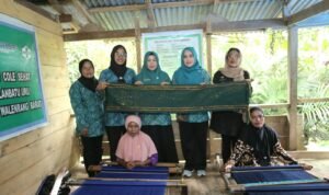 Dekranasda Luwu Kunjungi Pengrajin Tenun Kole Mandiri di Desa Ilan Batu Uru, Walenrang Barat