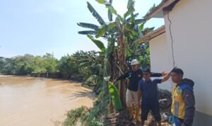 Pasca Banjir di Bua, Petugas BBWS Pompengan Jeneberang Tinjau Limpasan Air di Sungai Bua