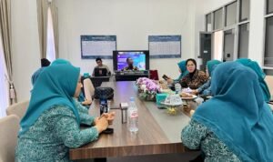 TP PKK Palopo Ikuti Sosialisasi Implementasi Posyandu 6 Bidang SPM Sesuai Permendagri Nomor 13 Tahun 2024