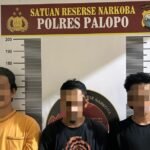 Tiga Pria Dicokok Polisi, Salah Satunya Kurir Suruhan Napi di Lapas Palopo