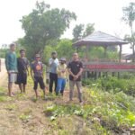 YLH Tana Merah dan Pemdes Towua Galang Aksi Bersih Taman Wisata Bakau