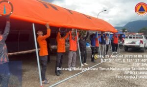 BPBD Luwu Kirim Personel Bantu Penanganan Darurat Kebakaran di Sorowako, Luwu Timur