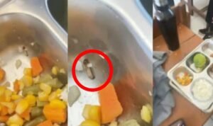 Ulat dalam Hidangan, Program MBG di MAN 3 Makassar Disorot