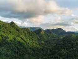 Destinasi Ekowisata Hutan Tropis Menjadi Favorit Pecinta Alam