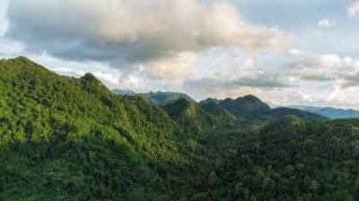 Destinasi Ekowisata Hutan Tropis Menjadi Favorit Pecinta Alam