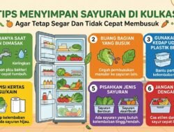 Tips Menyimpan Sayuran Di Kulkas Agar Tetap Segar Dan Tidak Cepat Membusuk
